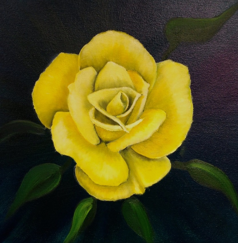 Yellow Rose