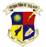 USAFSS patch