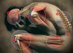 Knee bone connected to the pain bone.