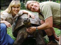 My money was on giant tortoises.