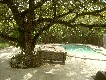 backyard view 3