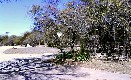 frontyard view 3