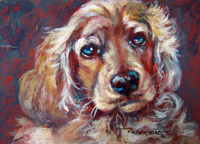 cocker spaniel