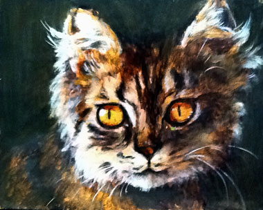 kitty