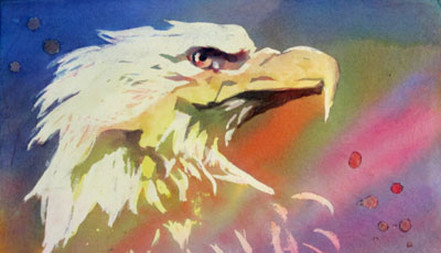 North Shore Eagle