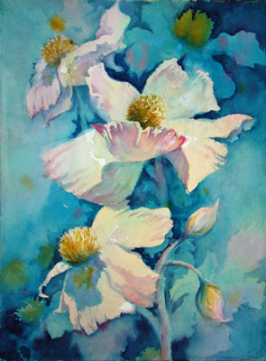 white poppies