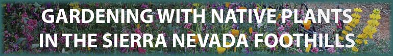 Gardening with Natives Banner