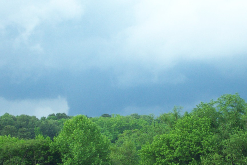 funnel2009050501.jpg