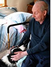 Elderly man pets Izzy, a border collie.