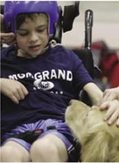 Boy with helmet in wheelchair petting Golden Retriever links to Chenny Troupe