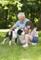 Older man, child, and dog link to The Therapeutic Role of Animals