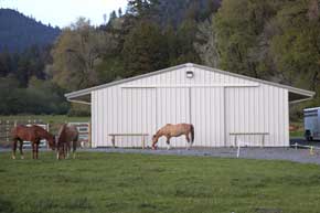 Horse Barn