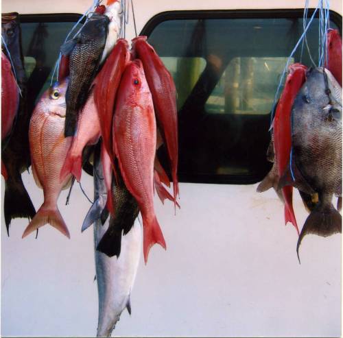 Nice haul!