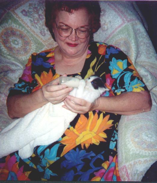 Me with Daisy as Kitten