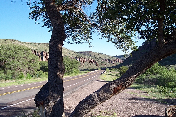 Texas Hwy 17 scenic image