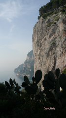 Capri Cliffs 1