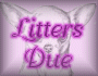 Litters Due