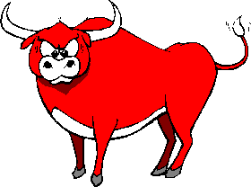 Bull picture