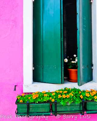 Green Window/Pink Wall