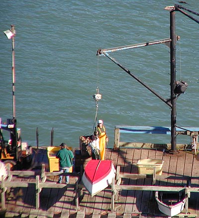 [Photo of fishermen unhooking crab basket]