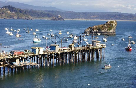 [Photo of busy pier]