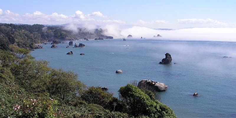 [Photo of the rocky coast, partly shrouded in fog]
