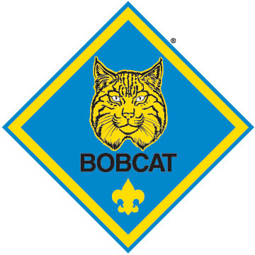 Bobcat