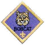Bobcat