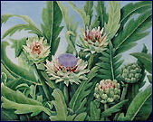 Flowering Articokes