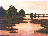 beauty-in-marsh.JPG (47581 bytes)