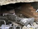 img_ae71a7a8dd_gaza_massacre_11