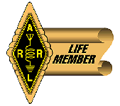 Life Member Pin