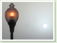 The sun breaks through next to one of the Cove's streetlamps.